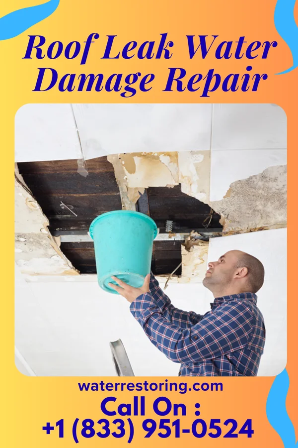 Roof Leak Water Damage Repair in West Liberty, PA
