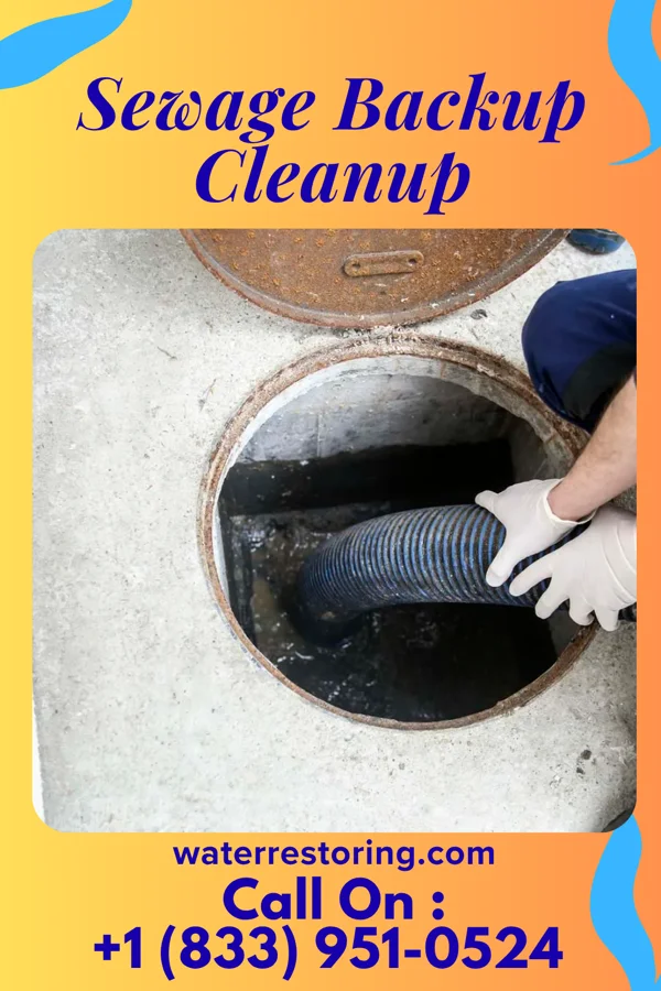 Sewage Backup Cleanup in West Liberty, PA
