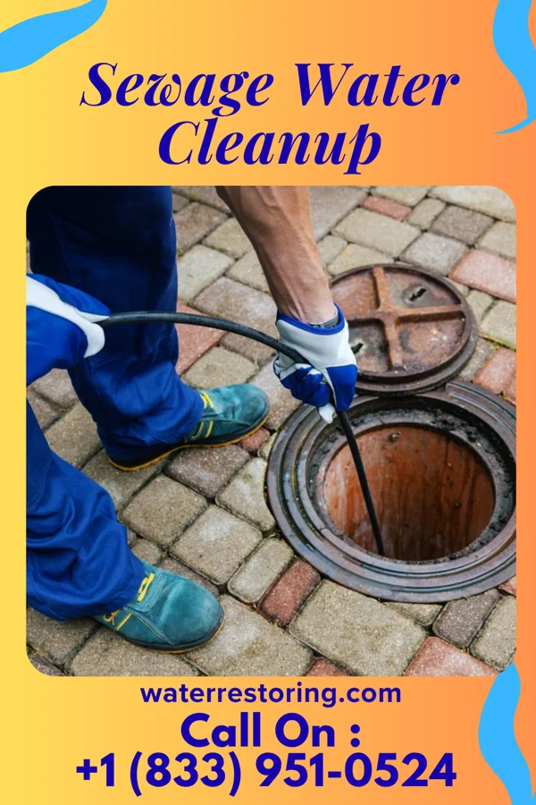 Sewage Water Cleanup in West Liberty, PA