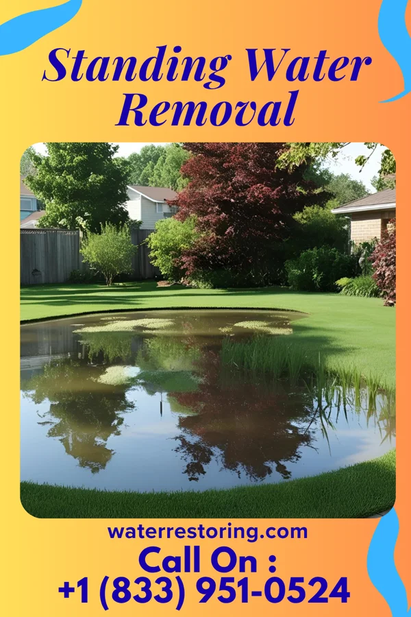 Standing Water Removal in West Liberty, PA